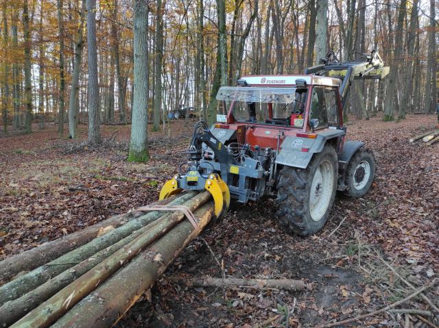 Fichtenaktion Herbst 2020