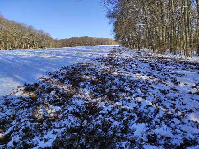 Winter 2020/21